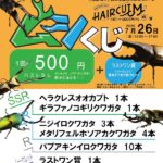 【夏休みイベント・世界の巨大昆虫が群馬に集結】ムシくじ＆見学会
